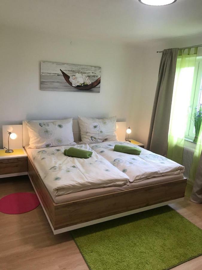 שטיינבאך אם אטרזי Wohnung Am See מראה חיצוני תמונה
